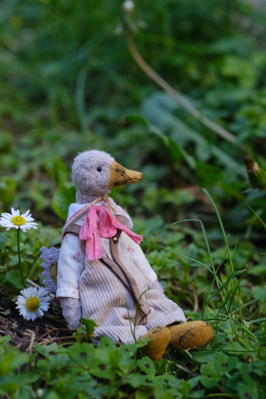 Duck in grass