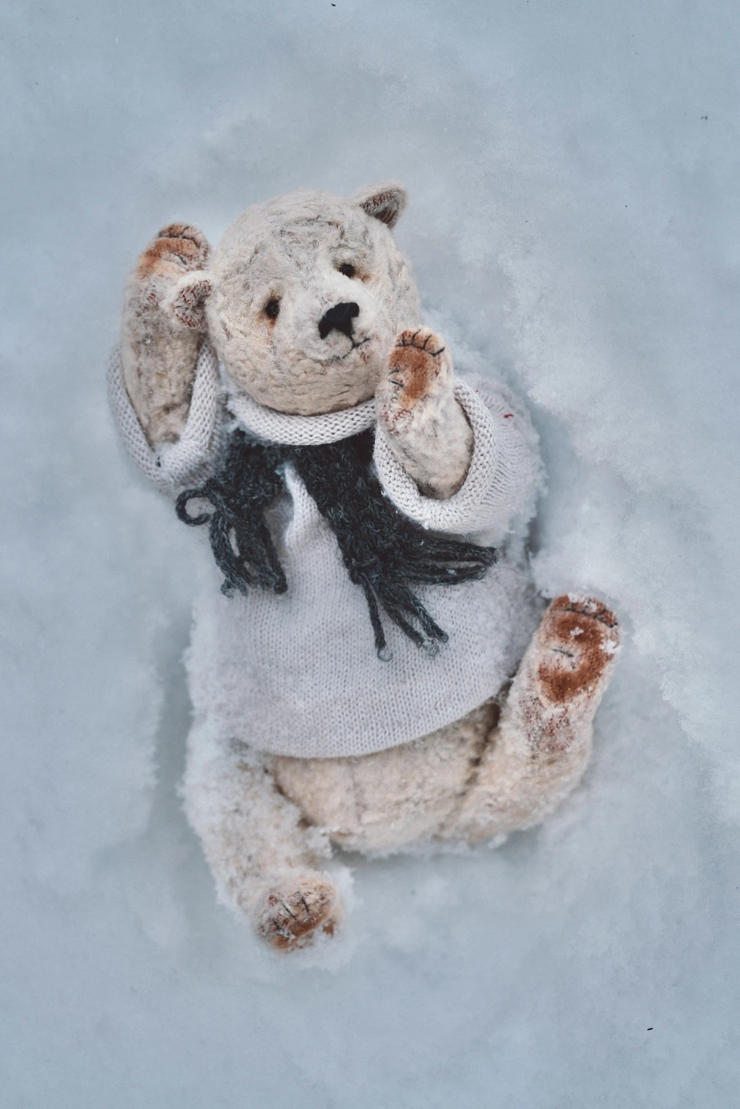 Polar bear