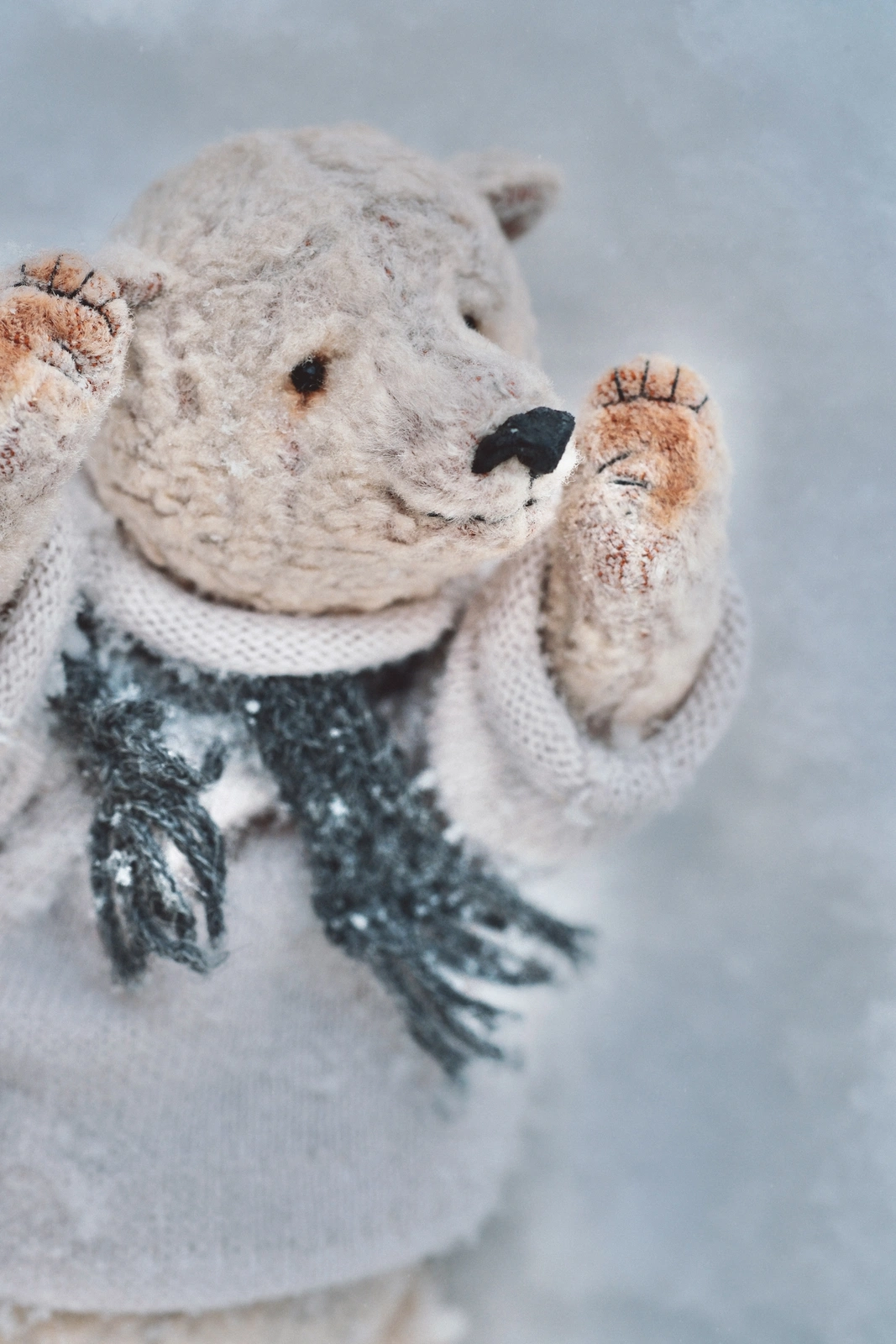 Polar bear