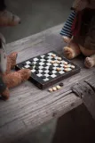 🎩 Checkers Bear 
