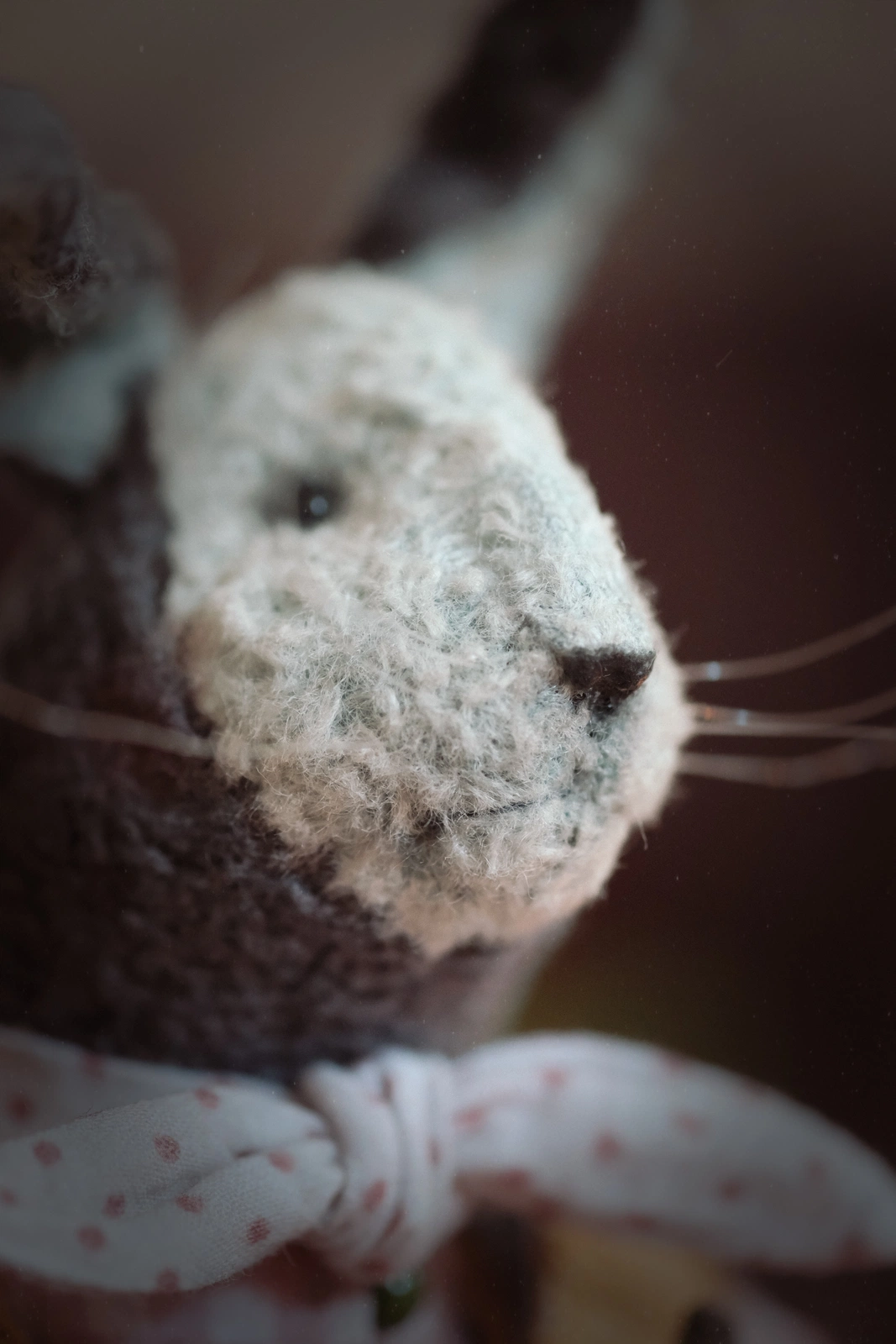 A Rabbit with a carrot