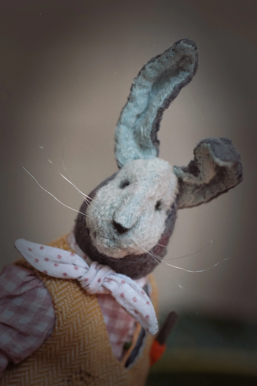 A Rabbit with a carrot