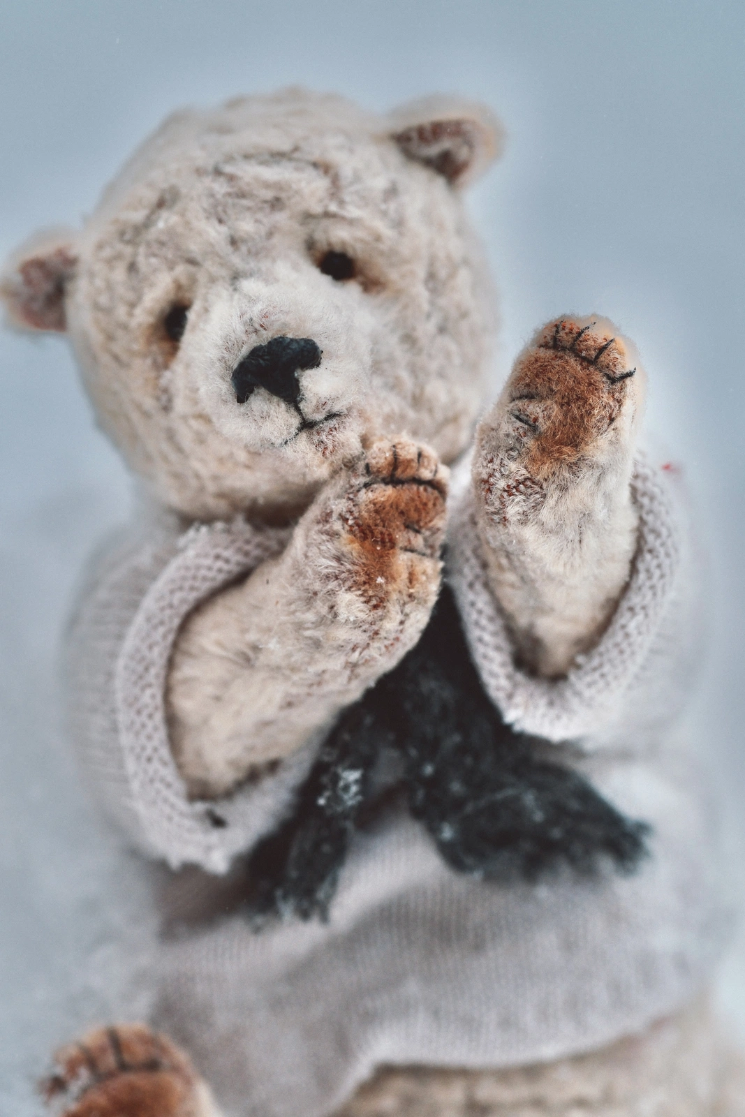 Polar bear