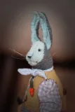 A Rabbit with a carrot